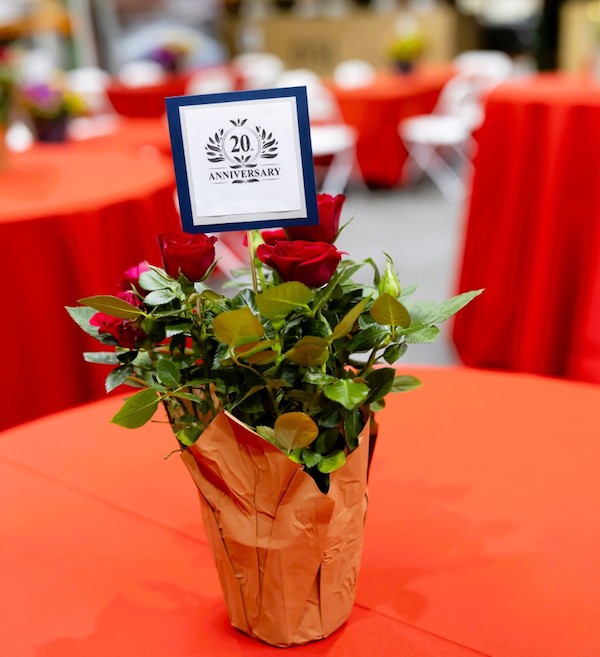 DSI 20th Anniversary flowers